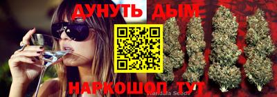 mdpv Гулькевичи