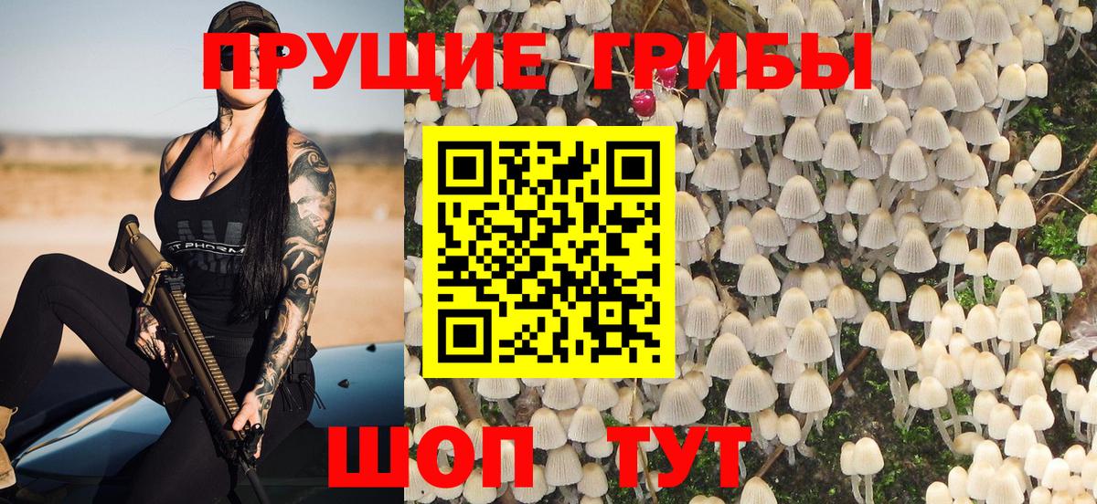Псилоцибиновые грибы Северобайкальск