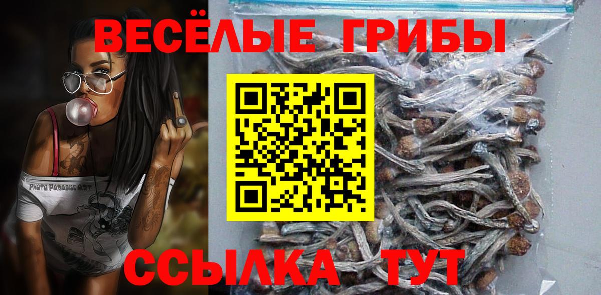 Псилоцибиновые грибы Cubensis Северобайкальск