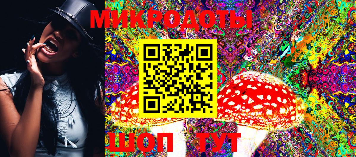 Псилоцибиновые грибы Magic Shrooms  Псилоцибиновые грибы ЛСД  Вход с VPN  Северобайкальск 